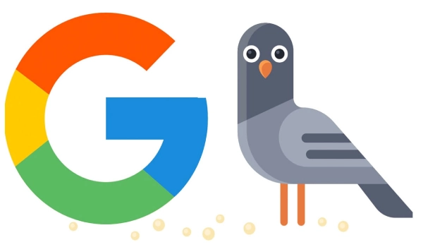الگوریتم کبوتر گوگل چیست؟ Pigeon و تاثیر آن بر سئو محلی
